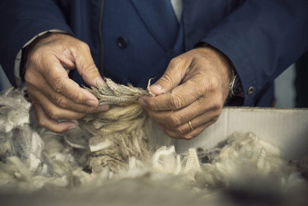 The Revolutionizing Loro Piana Mill - Cover